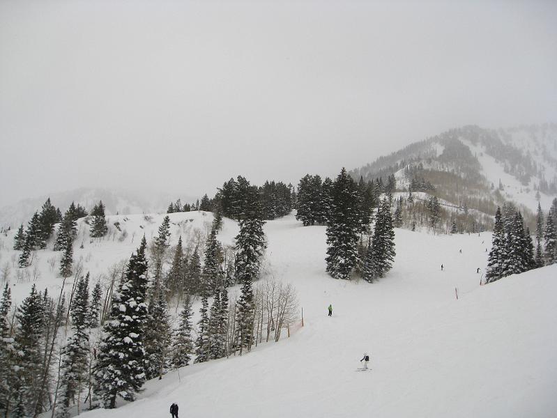 img_0698.jpg