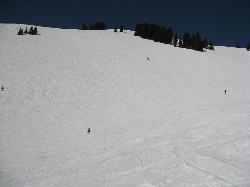 IMG_8810.JPG