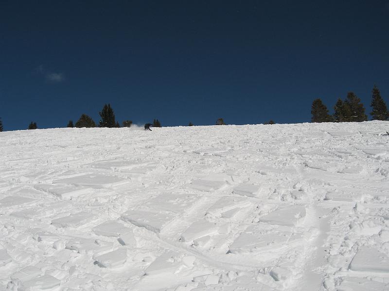 IMG_2252.JPG